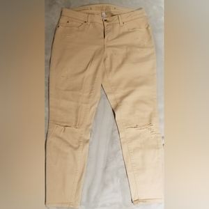 Jennifer Lopez jeans, petite 6.